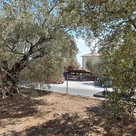 Kalyvi