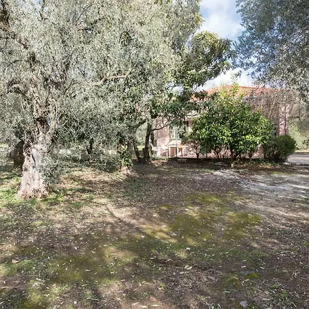Casa vacanze Kalyvi *