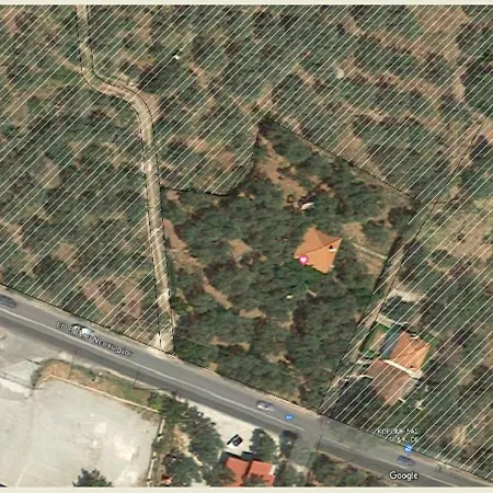 Kalyvi